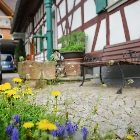 Apartment Kirschbluete Appenweier Zewnętrze zdjęcie