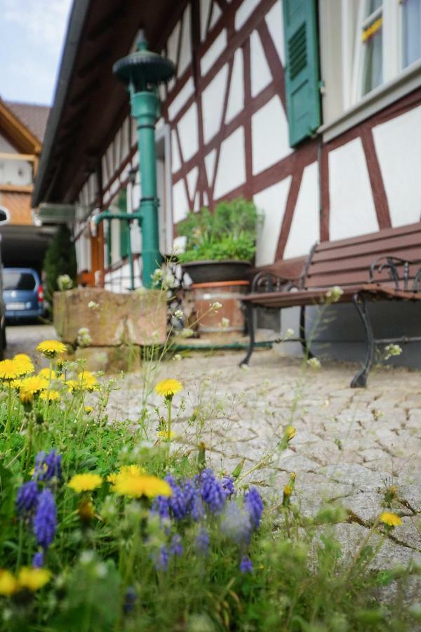 Kirschbluete Apartment
